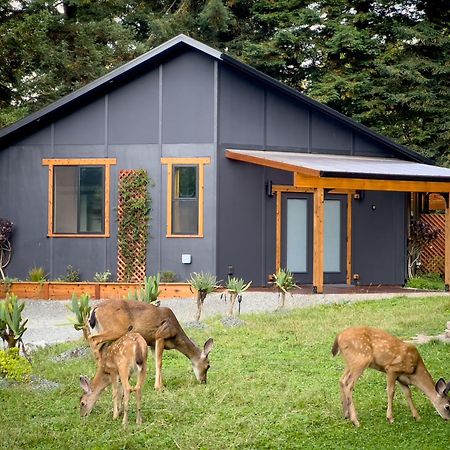 New, Modern, Country-Feel, Close To Arcata Kültér fotó